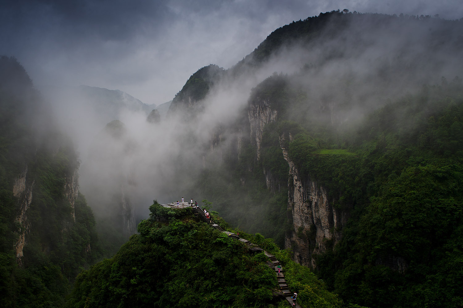 空山纪录片图片